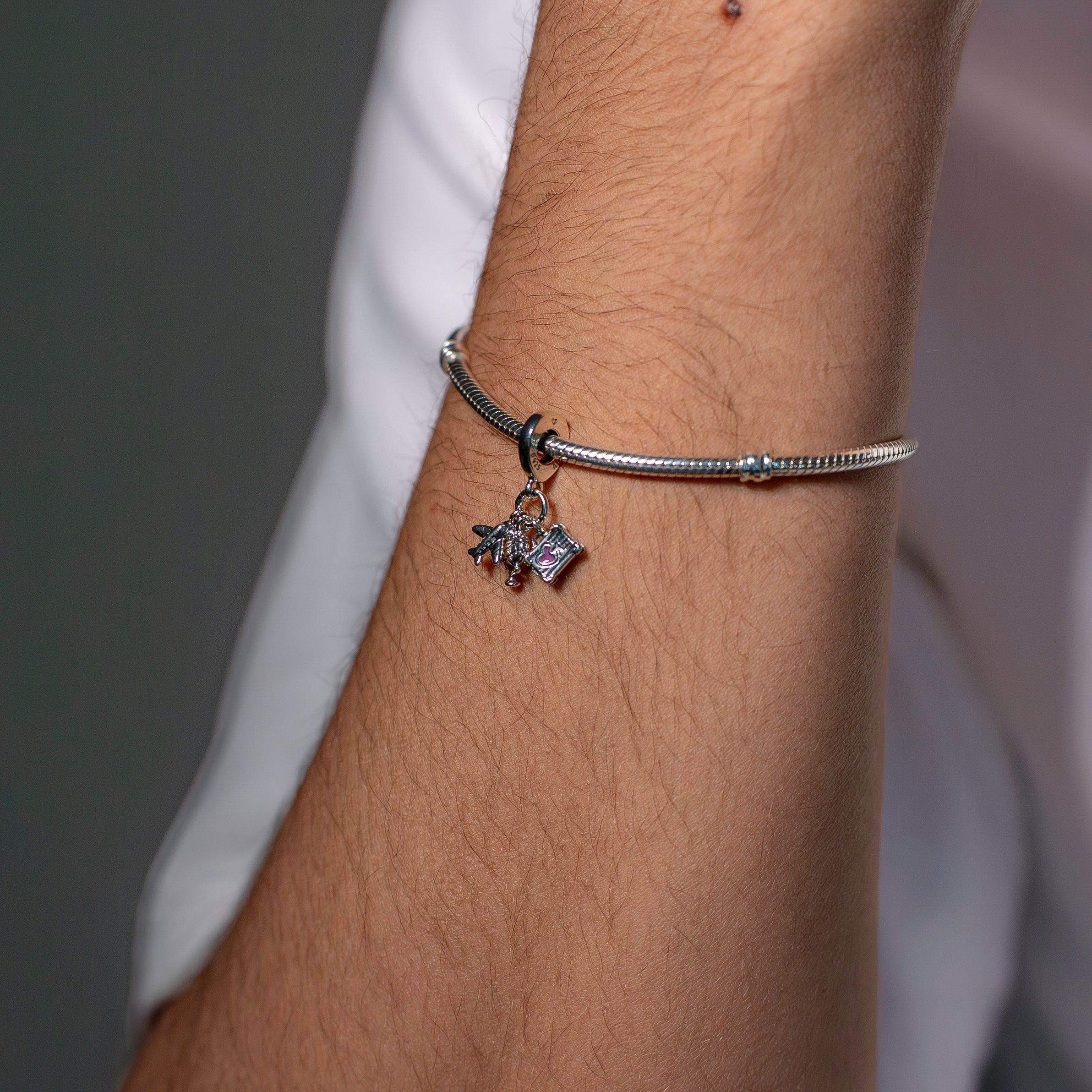 Airplane, Globe & Suitcase Dangle Charm