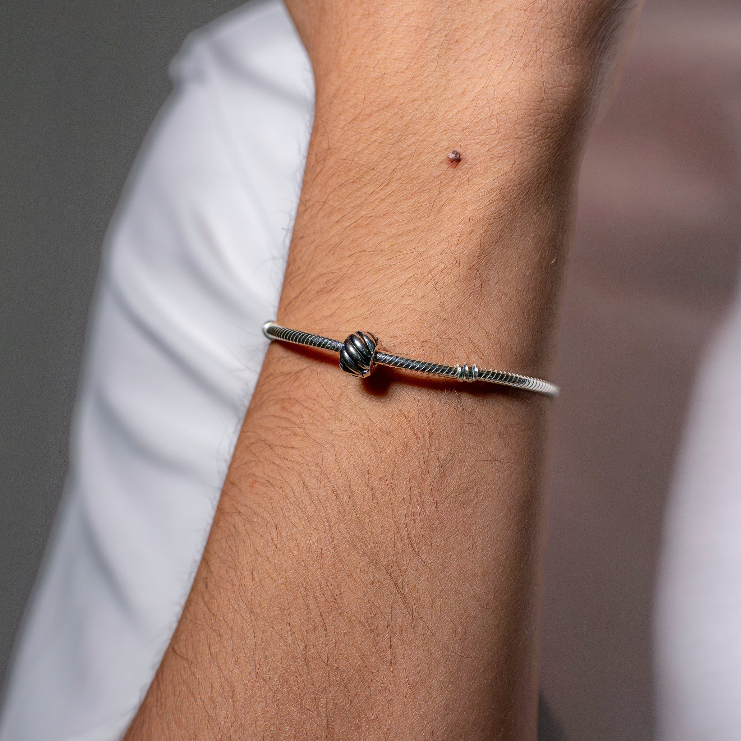 Abstract silver clip