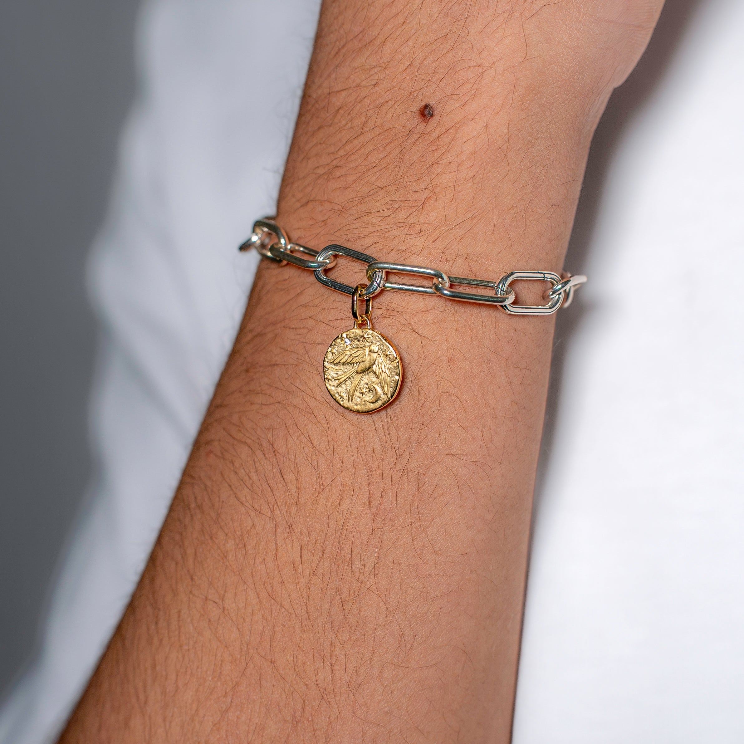 Swallow Medallion Charm
14k gold plating