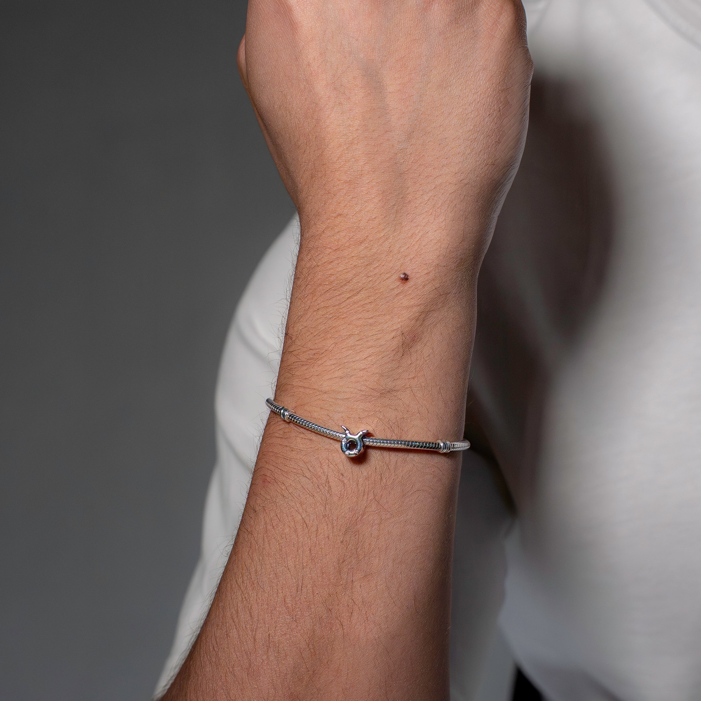 Taurus sterling silver charm with clear cubic zirconia