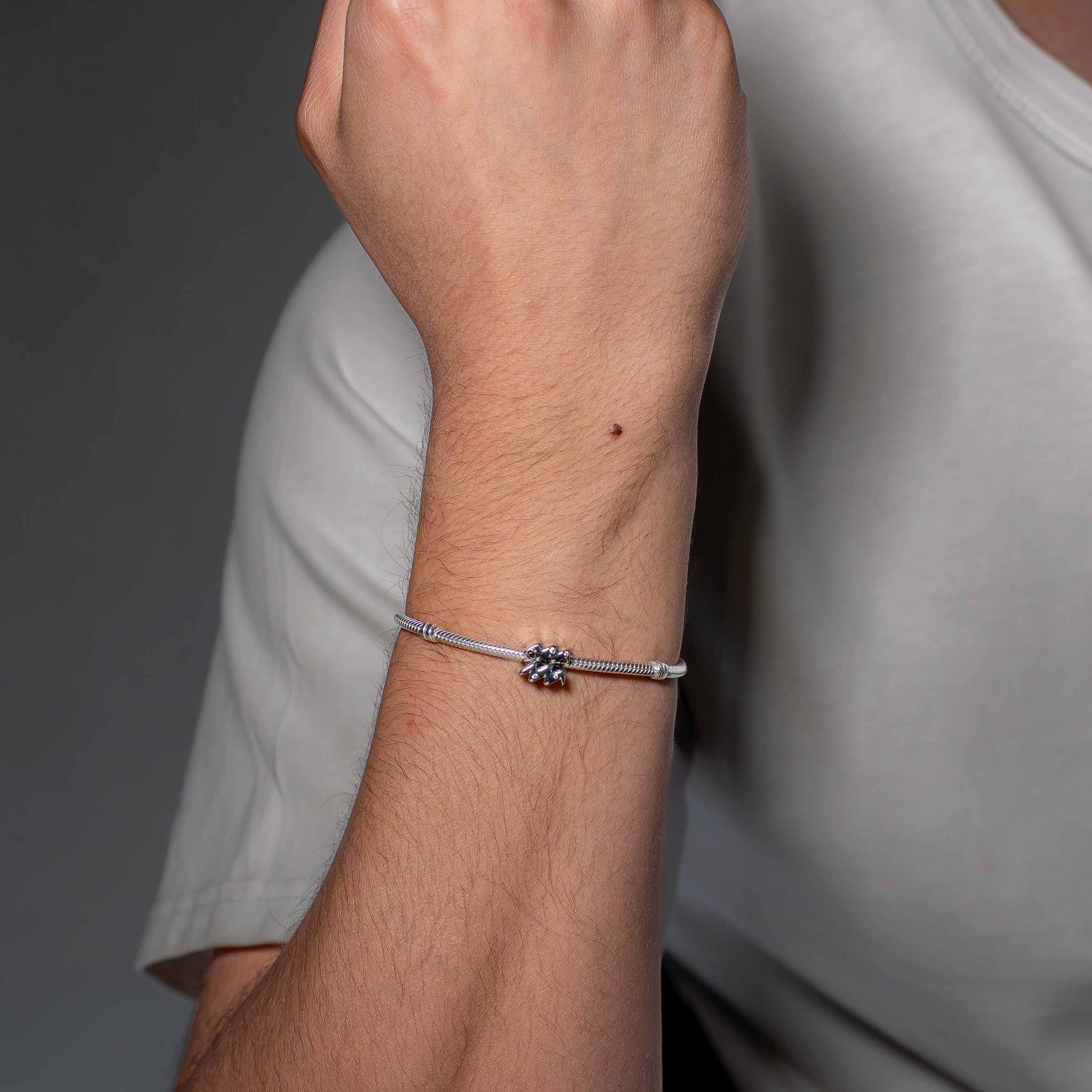 Aquarius sterling silver charm with clear cubic zirconia