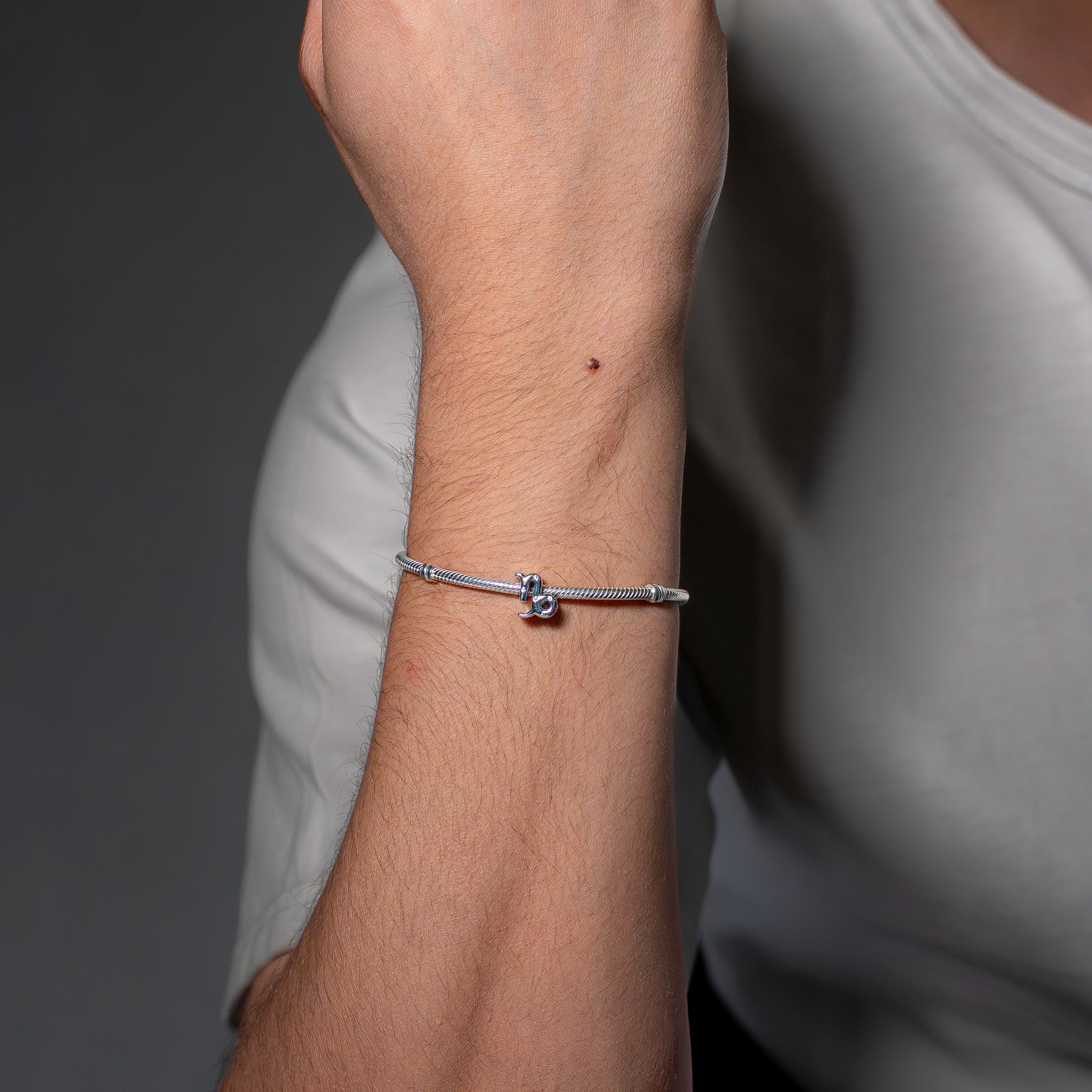 Capricorn sterling silver charm with clear cubic zirconia