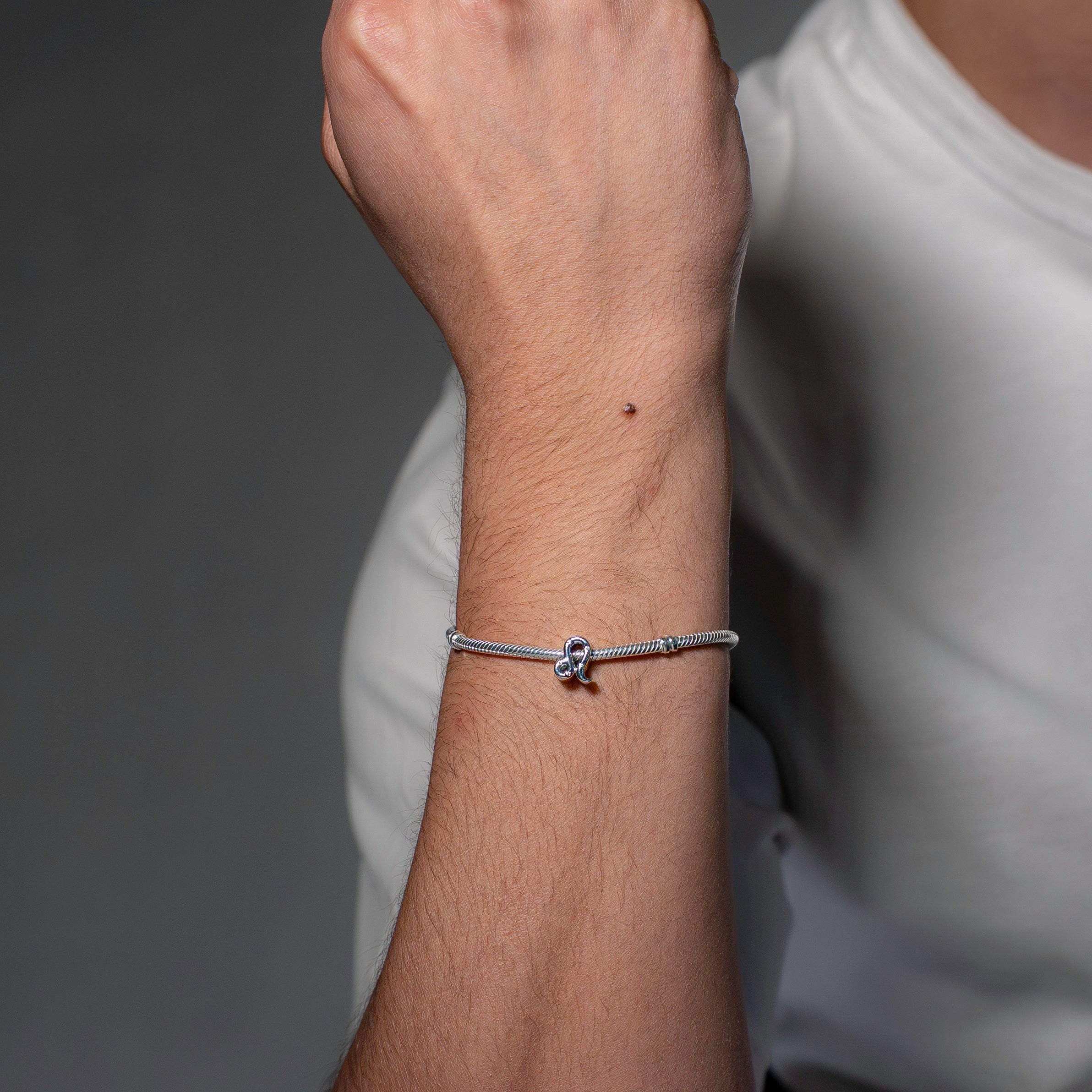 Leo sterling silver charm with clear cubic zirconia