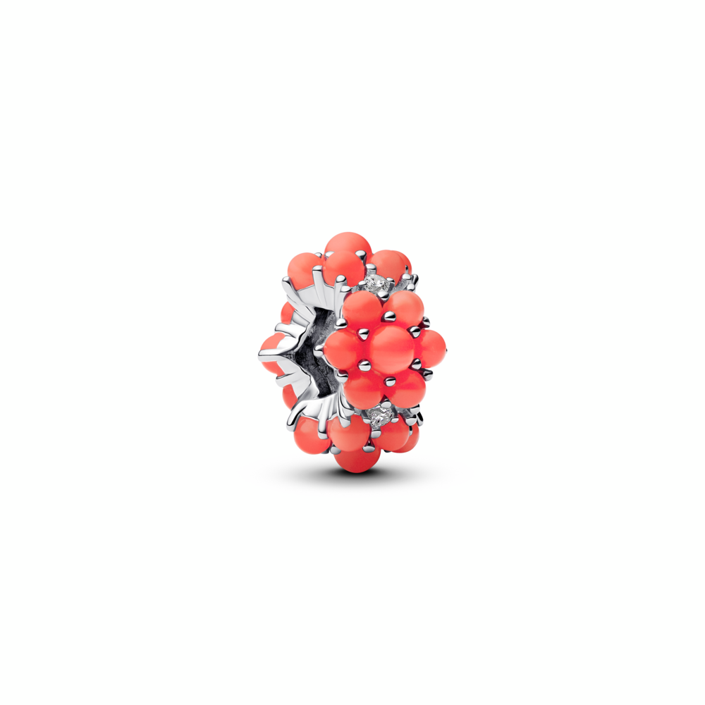 Coral-coloured Ocean Charm