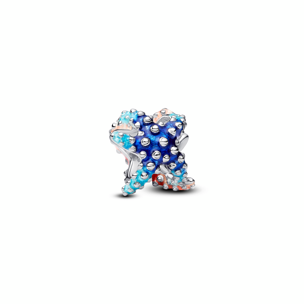 Colourful Starfish Mini Charm